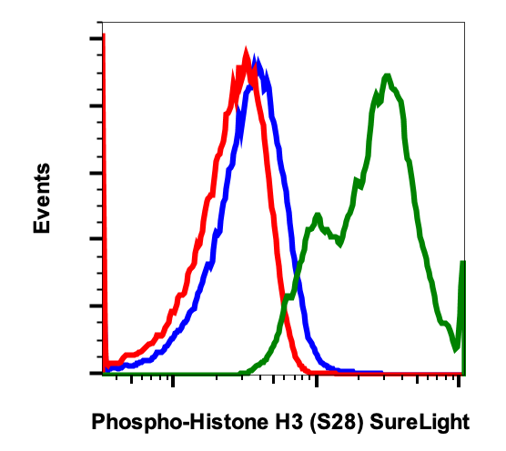 Phospho-Histone H3 (Ser28) rabbit mAb SureLight488 conjugate Antibody