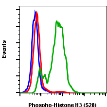 Phospho-Histone H3 (Ser28) rabbit mAb FITC conjugate Antibody