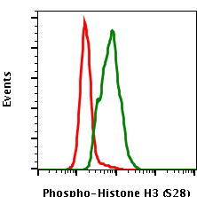 Phospho-Histone H3 (Ser28) rabbit mAb PE conjugate Antibody