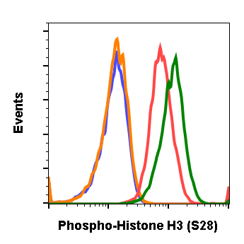 Phospho-Histone H3 (Ser28) rabbit mAb Antibody
