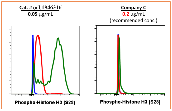 Phospho-Histone H3 (Ser28) rabbit mAb Antibody
