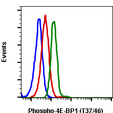 Phospho-4E-BP1 (Thr37/46) rabbit mAb SureLight 488 conjugate Antibody
