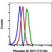 Phospho-4E-BP1 (Thr37/46) rabbit mAb PE conjugate Antibody