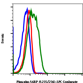 Phospho-S6 Ribosomal Protein (Ser235/236) rabbit mAb APC conjugate Antibody