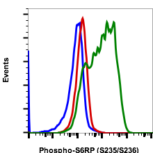 Phospho-S6 Ribosomal Protein (Ser235/236) rabbit mAb FITC conjugate Antibody
