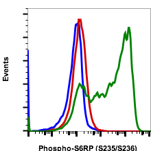 Phospho-S6 Ribosomal Protein (Ser235/236) rabbit mAb Antibody