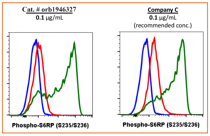 Phospho-S6 Ribosomal Protein (Ser235/236) rabbit mAb Antibody