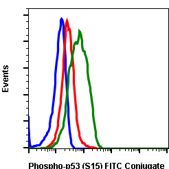 Phospho-p53 (Ser15) rabbit mAb FITC conjugate Antibody
