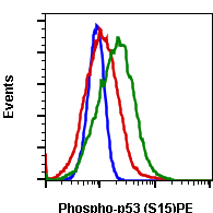Phospho-p53 (Ser15) rabbit mAb PE conjugate Antibody
