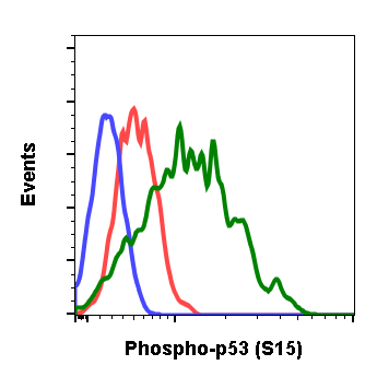 Phospho-p53 (Ser15) rabbit mAb Antibody