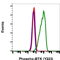 Phospho-Btk (Tyr223) rabbit mAb FITC conjugate Antibody