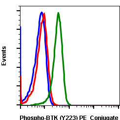 Phospho-Btk (Tyr223) rabbit mAb PE conjugate Antibody