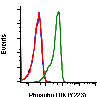 Phospho-Btk (Tyr223) rabbit mAb Antibody