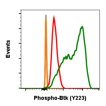 Phospho-Btk (Tyr223) rabbit mAb Antibody