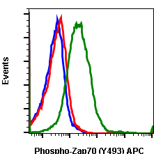 Phospho-Zap70 (Tyr493)/Syk (Tyr526) rabbit mAb APC conjugate Antibody