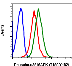 Phospho-p38 MAPK (Thr180/Tyr182) rabbit mAb SureLight488 Conjugate Antibody
