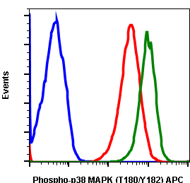 Phospho-p38 MAPK (Thr180/Tyr182) rabbit mAb APC conjugate Antibody