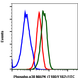 Phospho-p38 MAPK (Thr180/Tyr182) rabbit mAb FITC conjugate Antibody