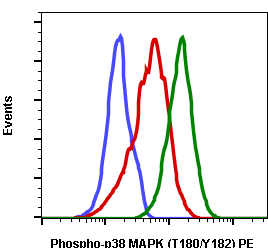 Phospho-p38 MAPK (Thr180/Tyr182) rabbit mAb PE conjugate Antibody