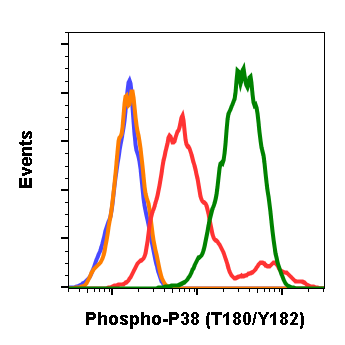 Phospho-p38 MAPK (Thr180/Tyr182) rabbit mAb Antibody