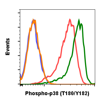 Phospho-p38 MAPK (Thr180/Tyr182) rabbit mAb Antibody