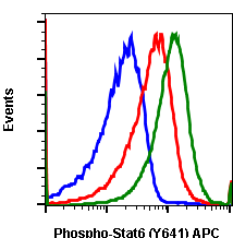 Phospho-Stat6 (Tyr641) rabbit mAb APC conjugate Antibody