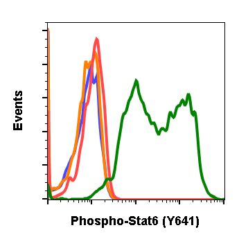 Phospho-Stat6 (Tyr641) rabbit mAb Antibody