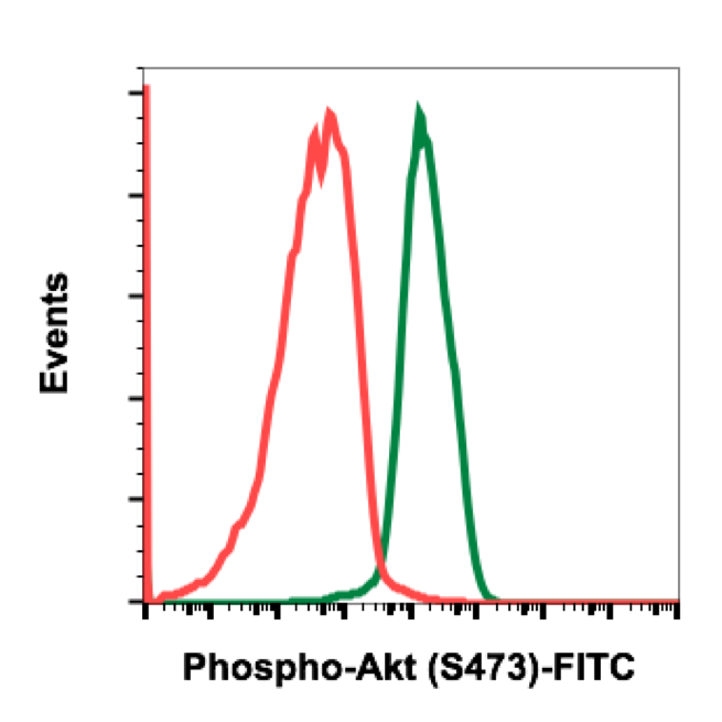 Phospho-Akt1 (Ser473) rabbit mAb FITC conjugate Antibody
