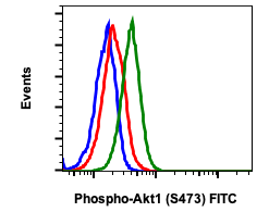 Phospho-Akt1 (Ser473) rabbit mAb FITC conjugate Antibody