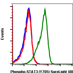 Phospho-Stat3 (Tyr705) rabbit mAb SureLight488 conjugate Antibody