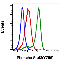 Phospho-Stat3 (Tyr705) rabbit mAb FITC conjugate Antibody