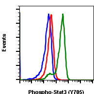 Phospho-Stat3 (Tyr705) rabbit mAb PE conjugate Antibody