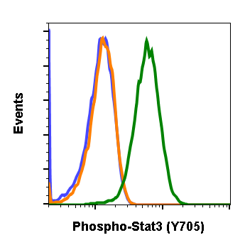 Phospho-Stat3 (Tyr705) rabbit mAb Antibody