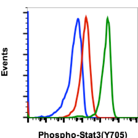 Phospho-Stat3 (Tyr705) rabbit mAb Antibody
