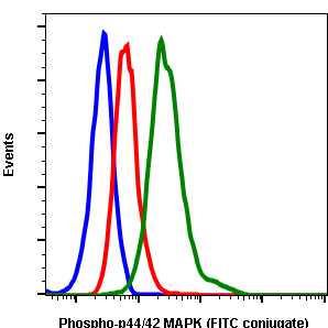 Phospho-p44/42 MAPK (Erk1/2) (Thr202/Tyr204) rabbit mAb FITC conjugate Antibody
