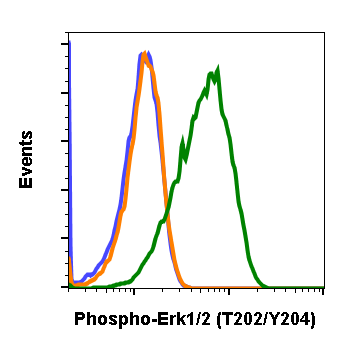 Phospho-p44/42 MAPK (Erk1/2) (Thr202/Tyr204) rabbit mAb Antibody