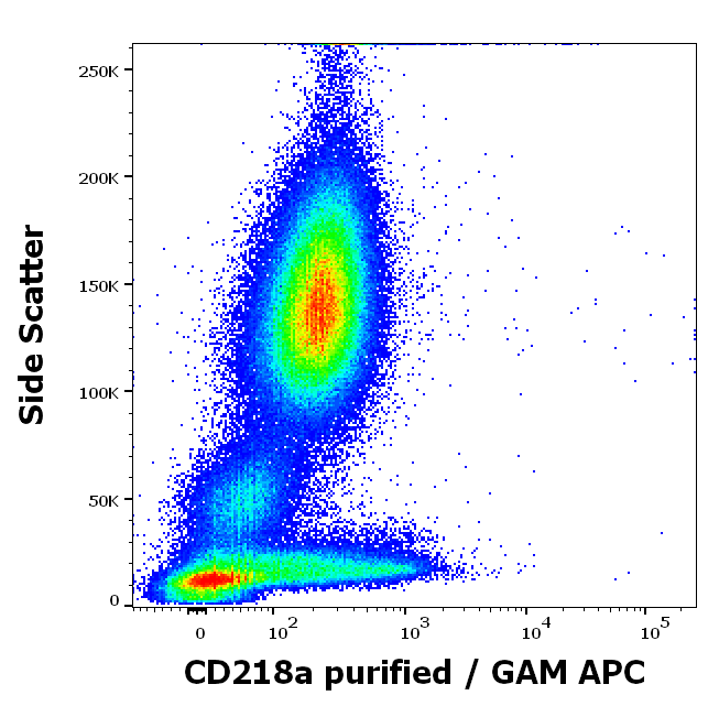 CD218a Antibody