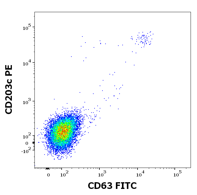 rApi g 1 (Apium graveolens 1.0101) Antibody