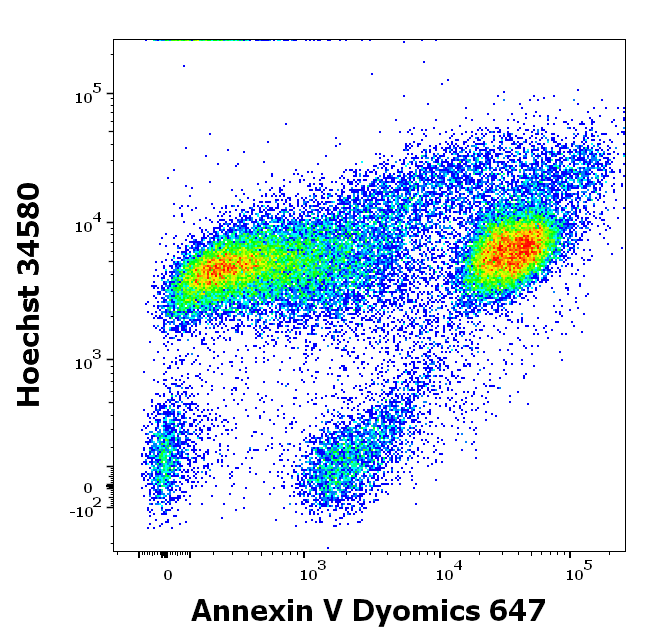 Annexin V Dyomics 647 Antibody