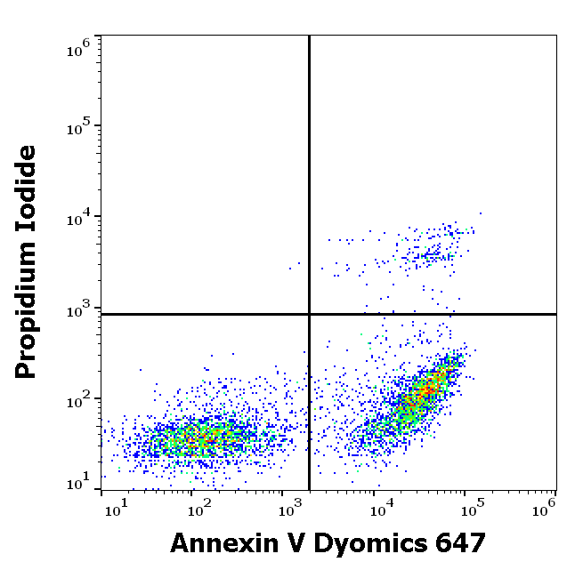 Annexin V Dyomics 647 Antibody