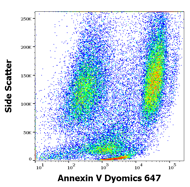 Annexin V Dyomics 647 Antibody