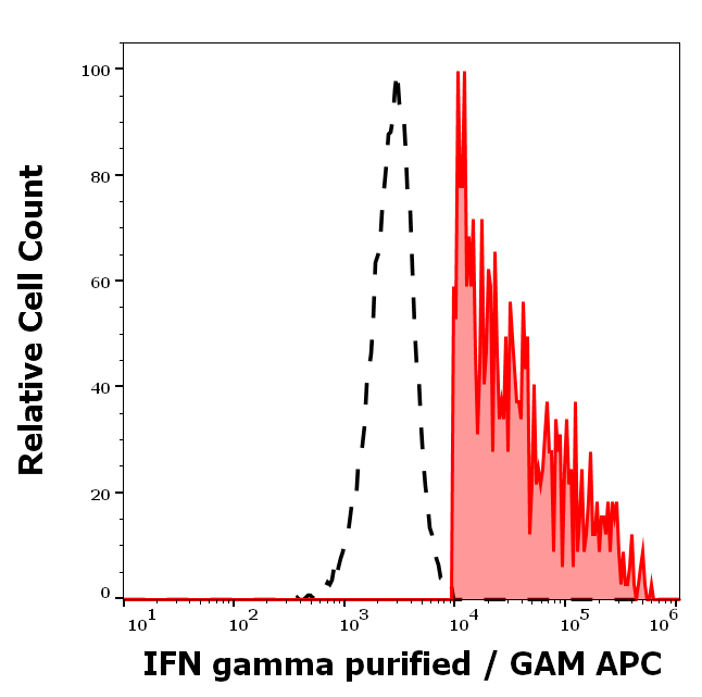 IFN gamma Antibody