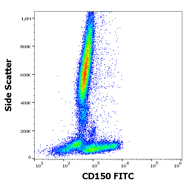 CD150 Antibody (FITC)