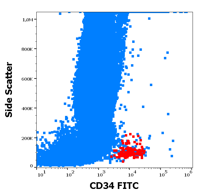 CD34 Antibody (FITC)
