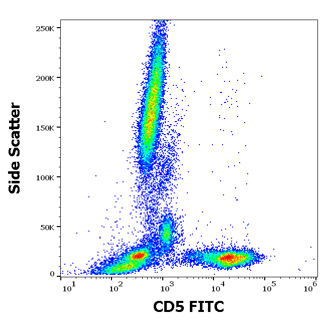 CD5 Antibody (FITC)