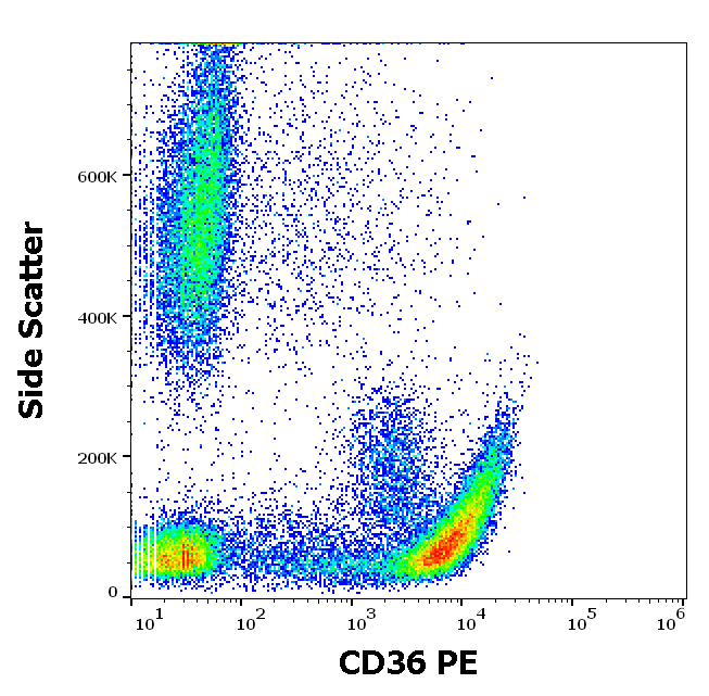 CD36 Antibody (PE)