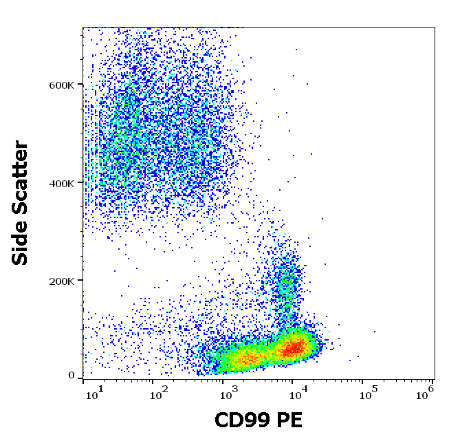 CD99 Antibody (PE)