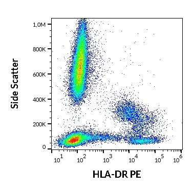 HLA-DR Antibody (PE)