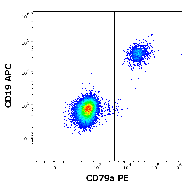CD79a Antibody (PE)