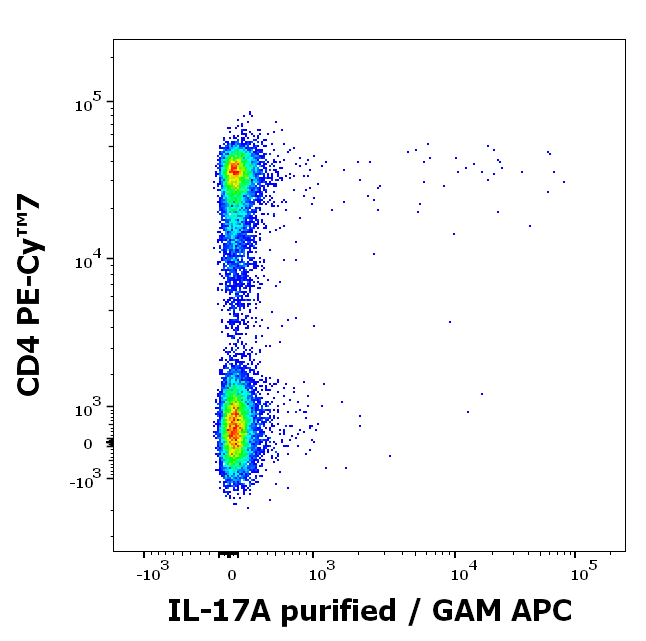 IL-17A Antibody